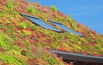 Attercliffe living roof systems